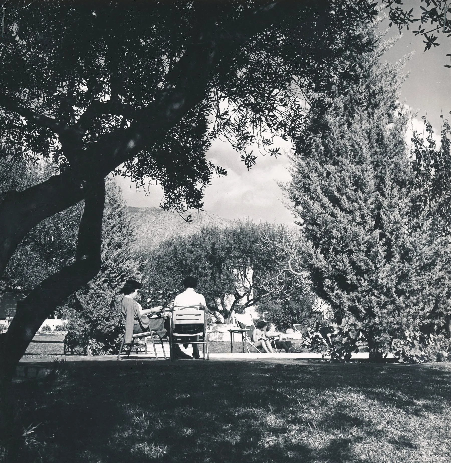 Les jardins du Marbella Club en novembre 1961 : des clients assis à l’ombre d’arbres et de cyprès