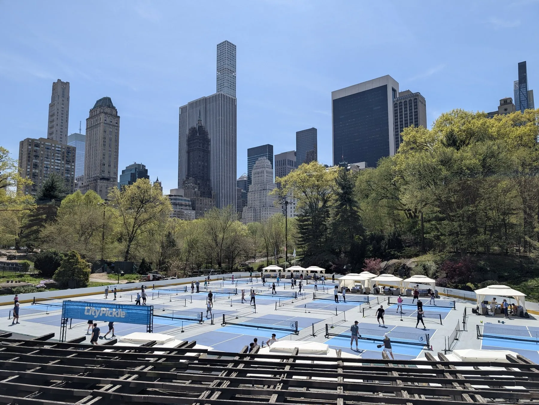 Des dizaines de terrains de pickleball installés sur la patinoire Wollman de Central Park, à New York, au printemps 2025, devant les gratte-ciel